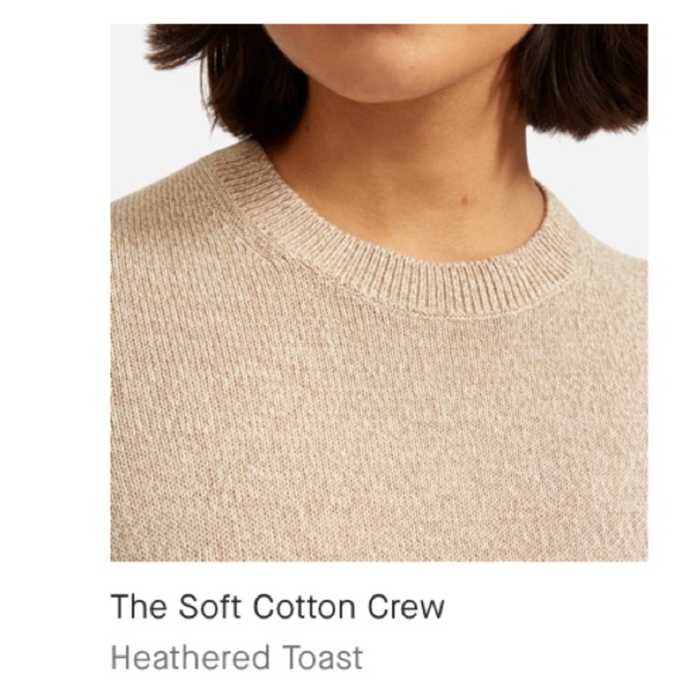 Everlane Softest Cotton Crewneck Sweater